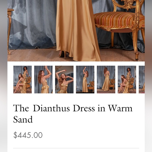 V. Chapman Dianthus Dress in Warm Sand - Picture 5 of 16